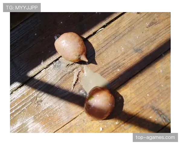 活球状态规则拆解：哪些情况下比赛才真正处于“活球”？